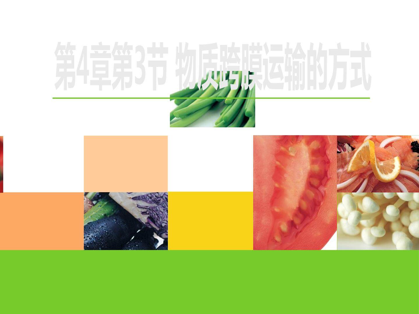 物质跨膜运输的方式