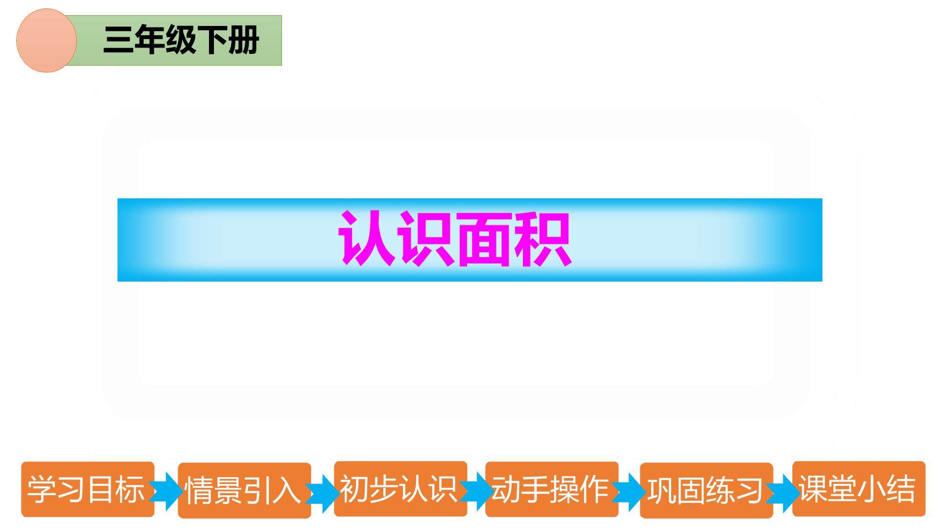 认识面积