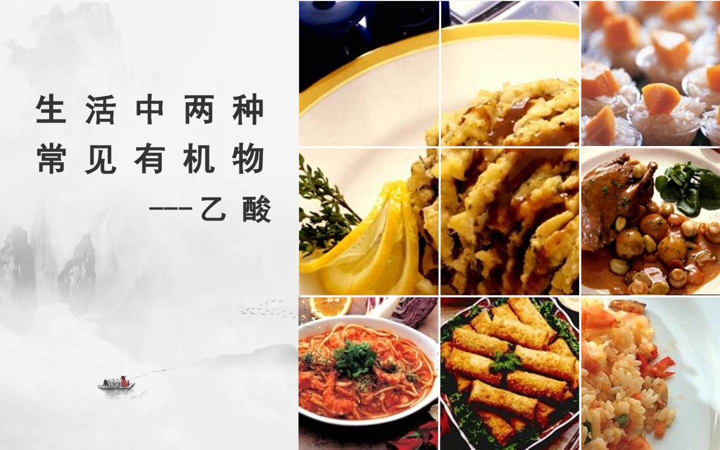 饮食中的有机化合物-乙酸
