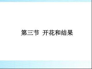 开花和结果
