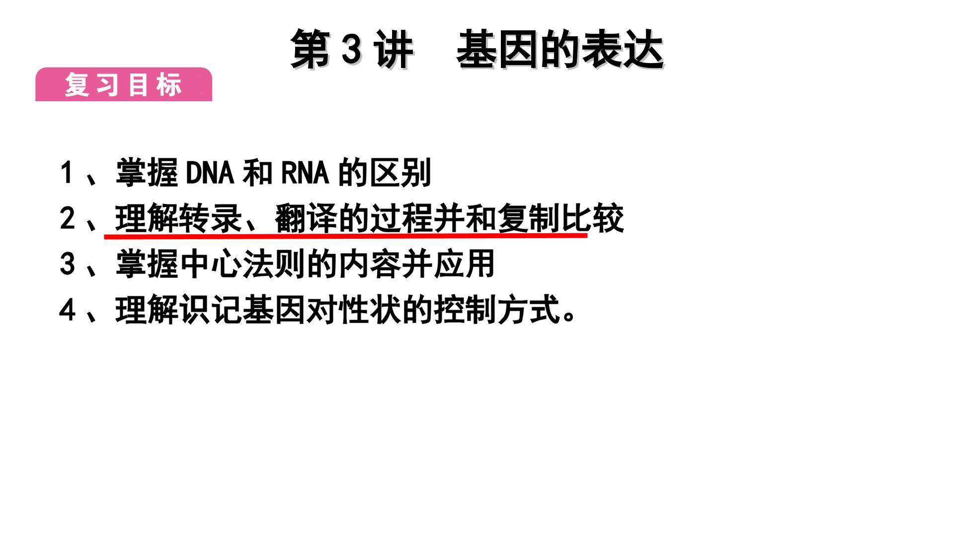基因的表达（一轮复习课件）