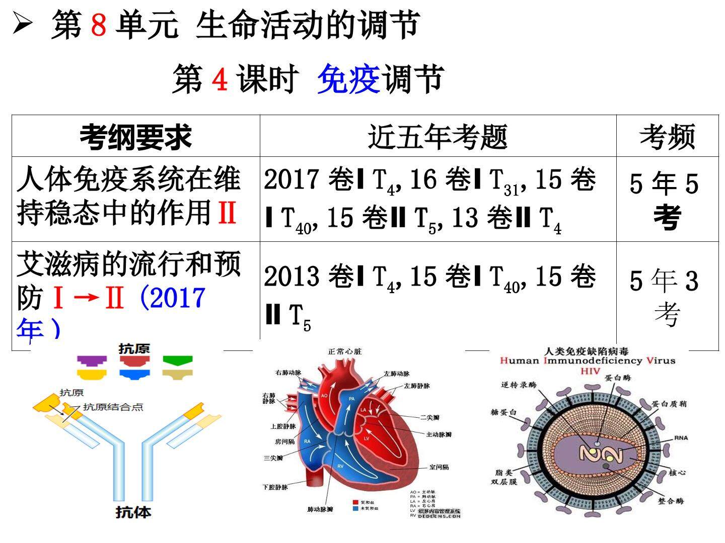 一轮复习 第4课时 动物生命活动调节3：免疫调节