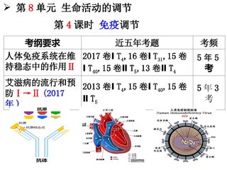 一轮复习 第4课时 动物生命活动调节3:免疫调节