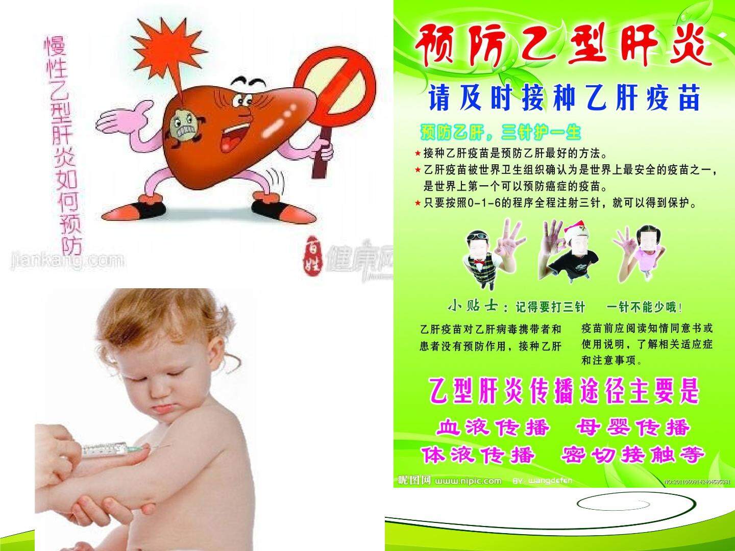 动物细胞融合与单克隆抗体