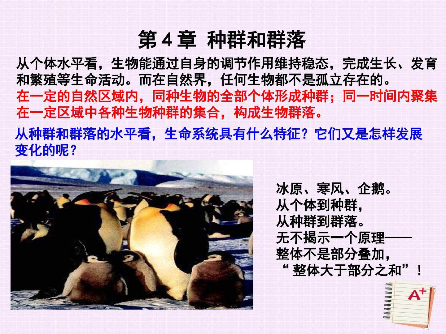 4.1 种群的特征