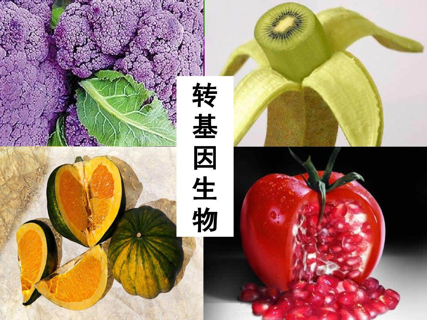 DNA是主要的遗传物质