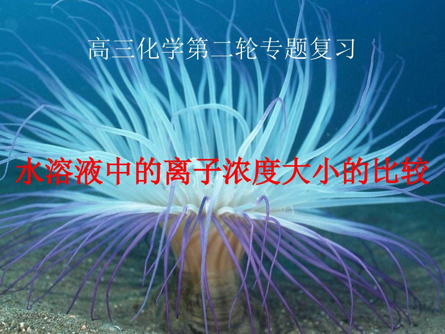 溶液中离子浓度大小比较
