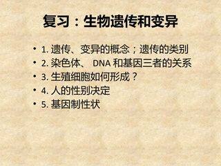复习:生物遗传和变异