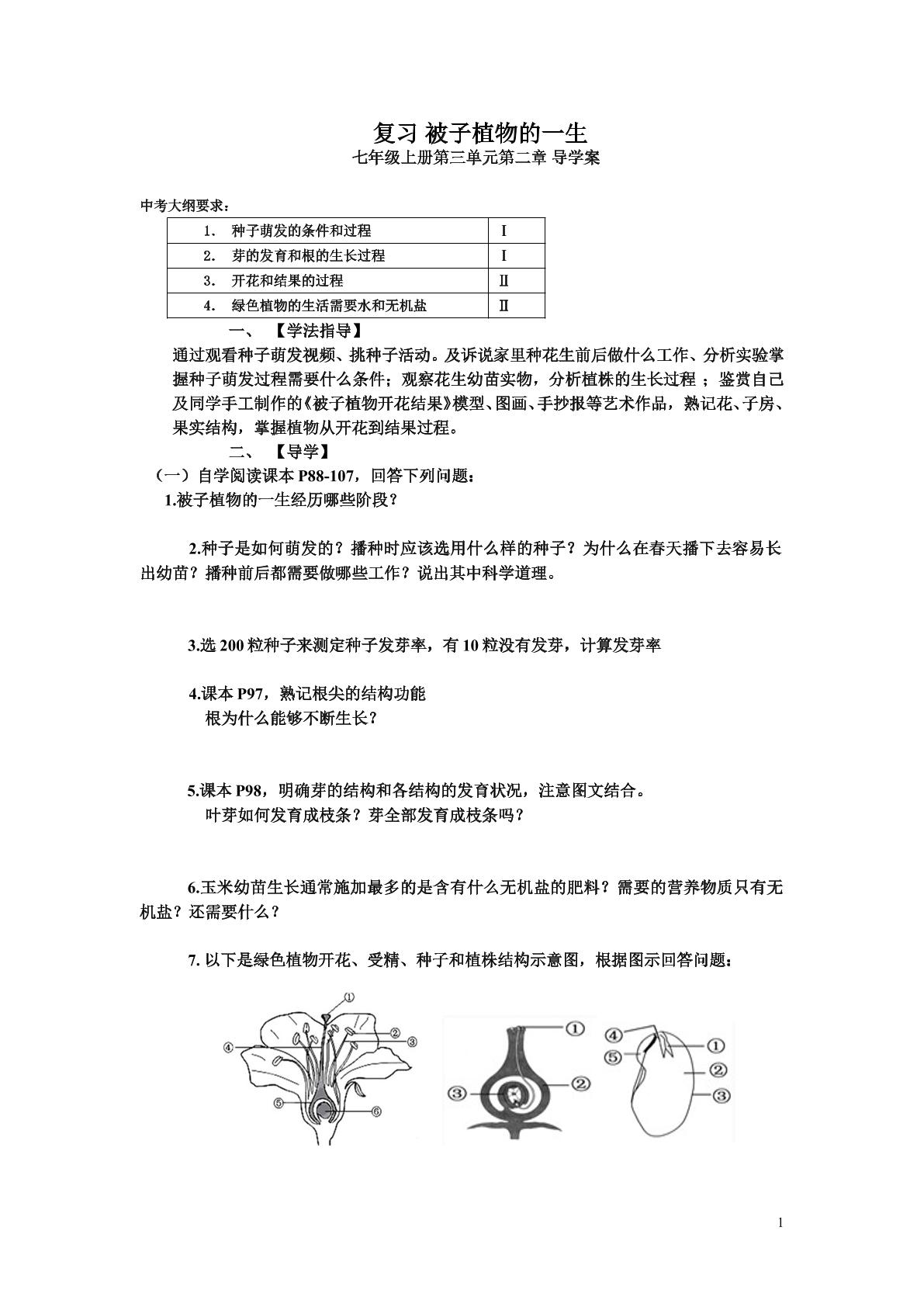 被子植物的一生