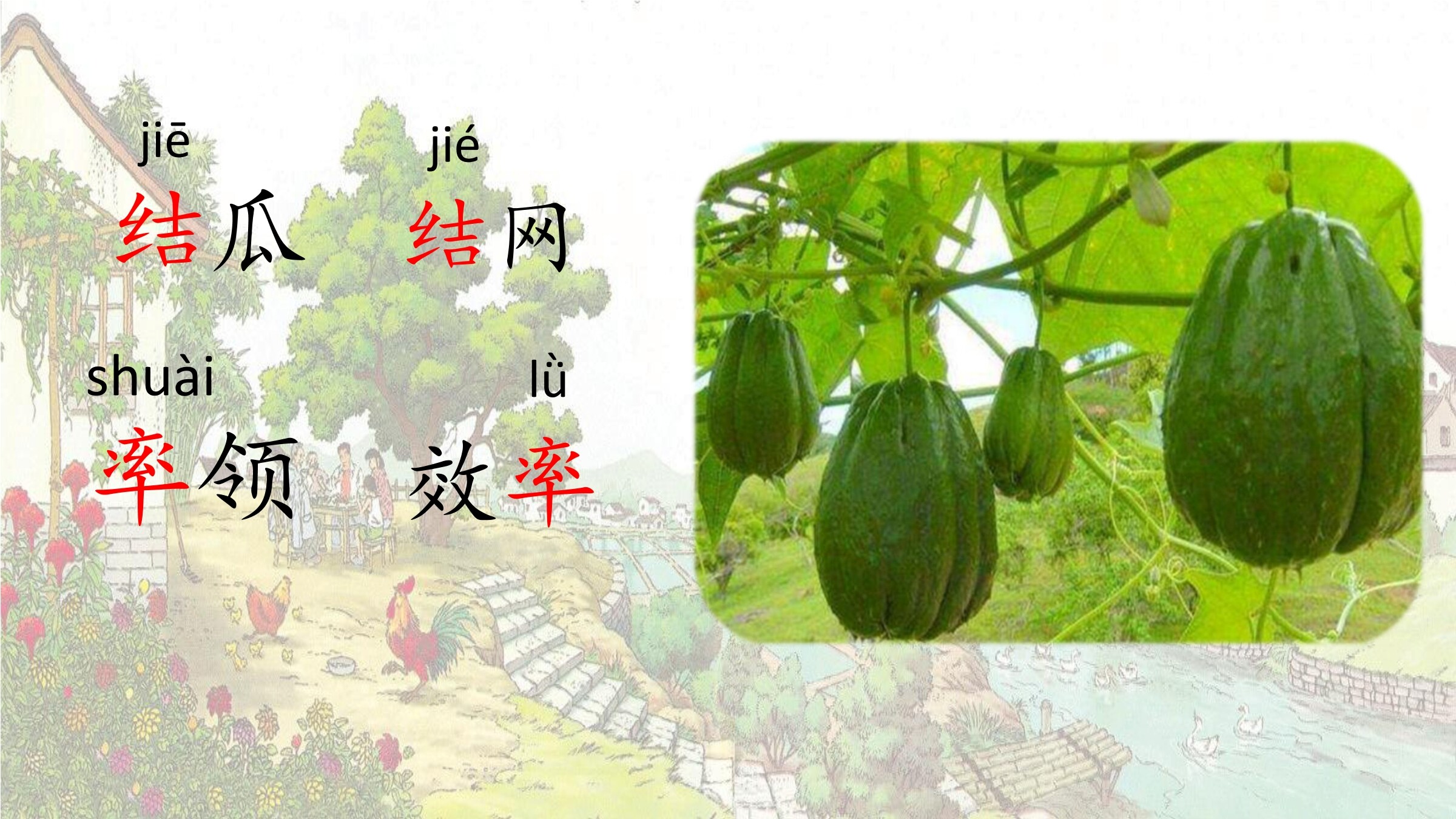 6