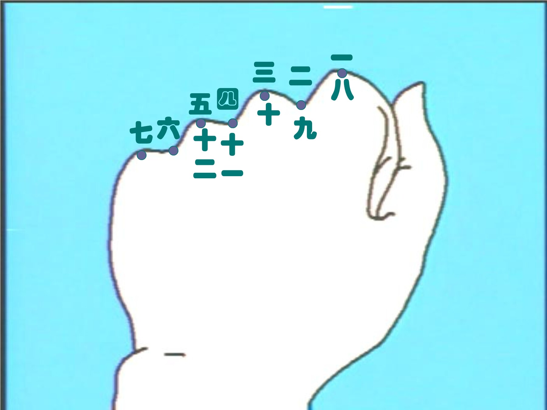 16
