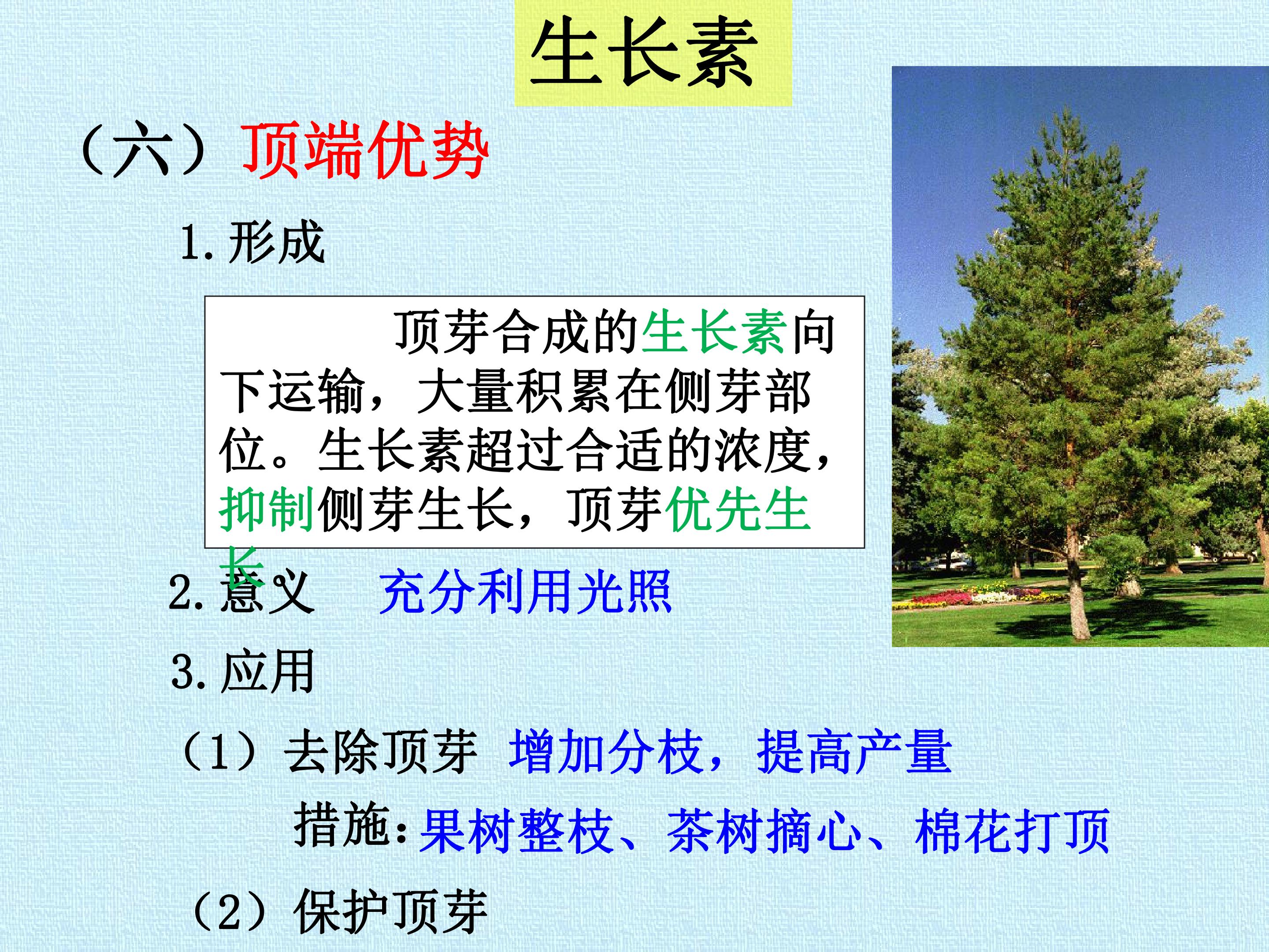 103.jpg