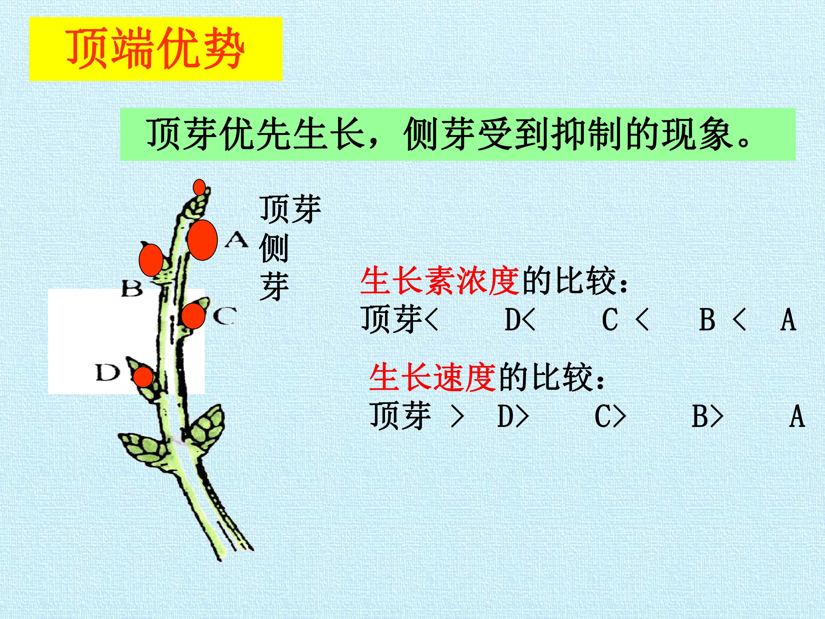 104.jpg