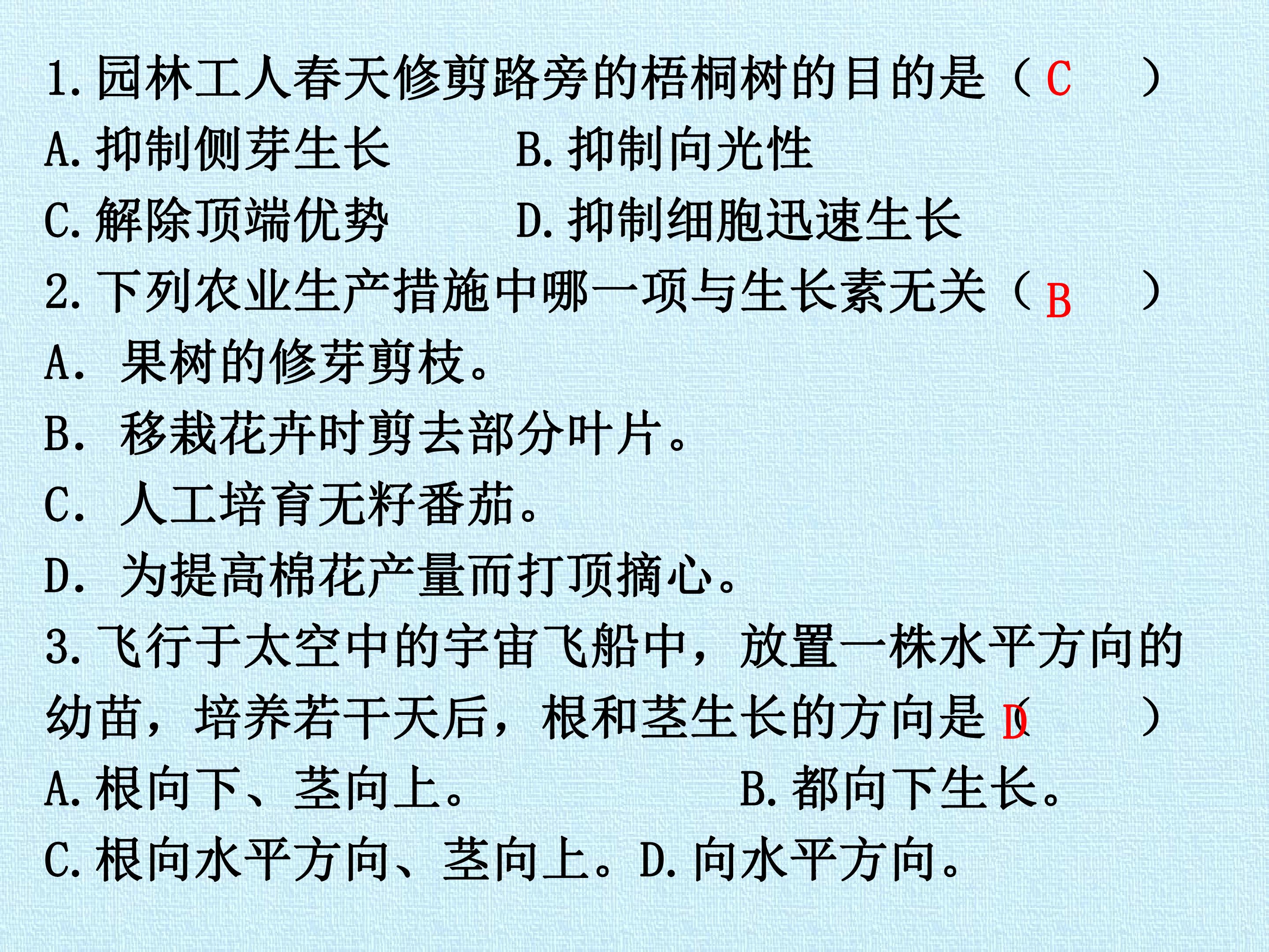 109.jpg