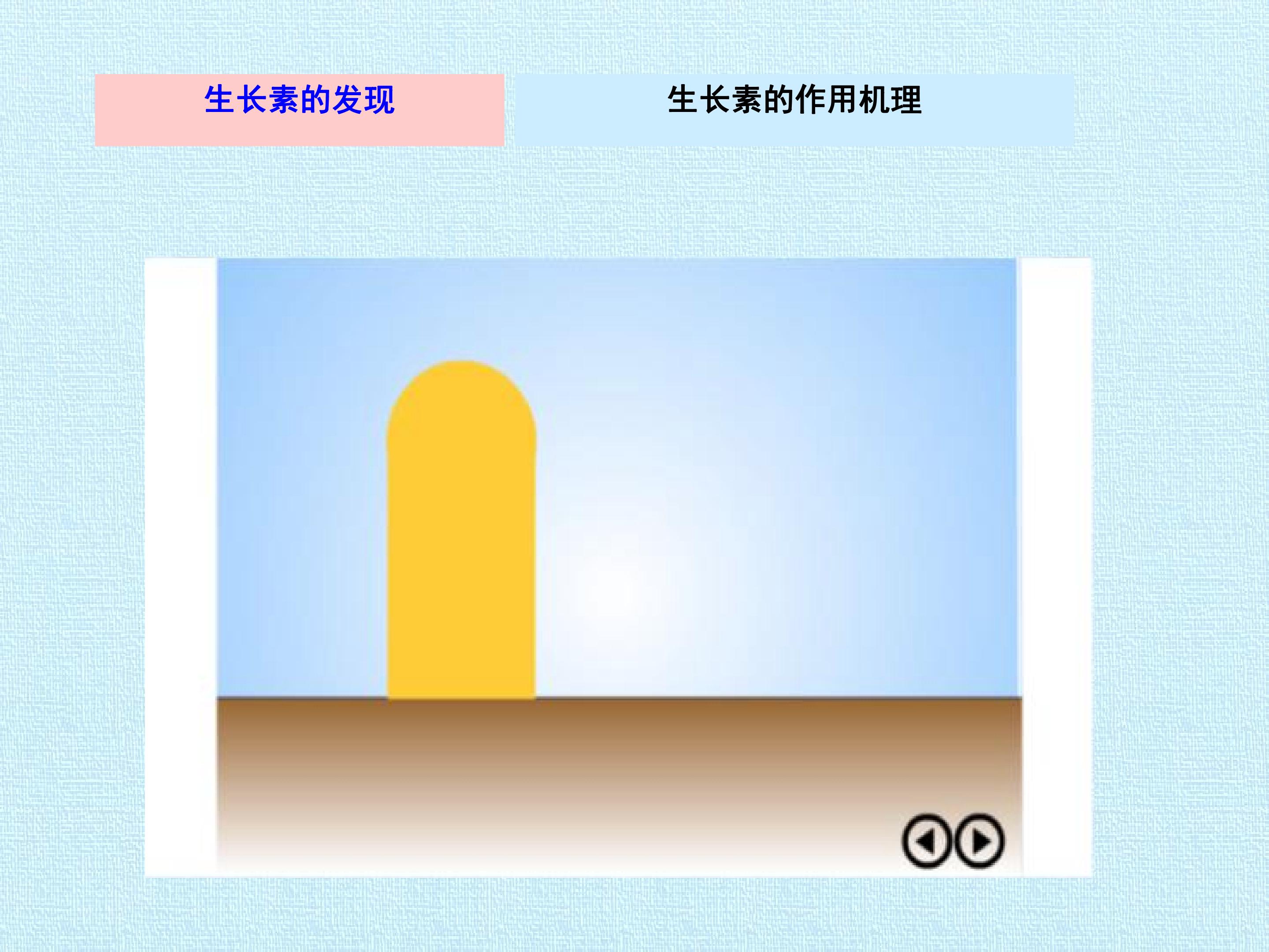 89.jpg