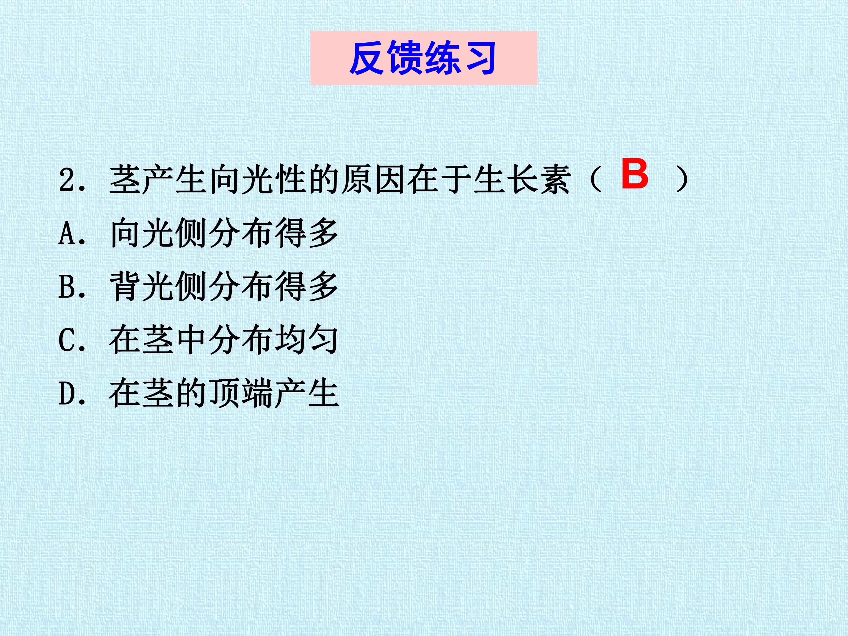 92.jpg