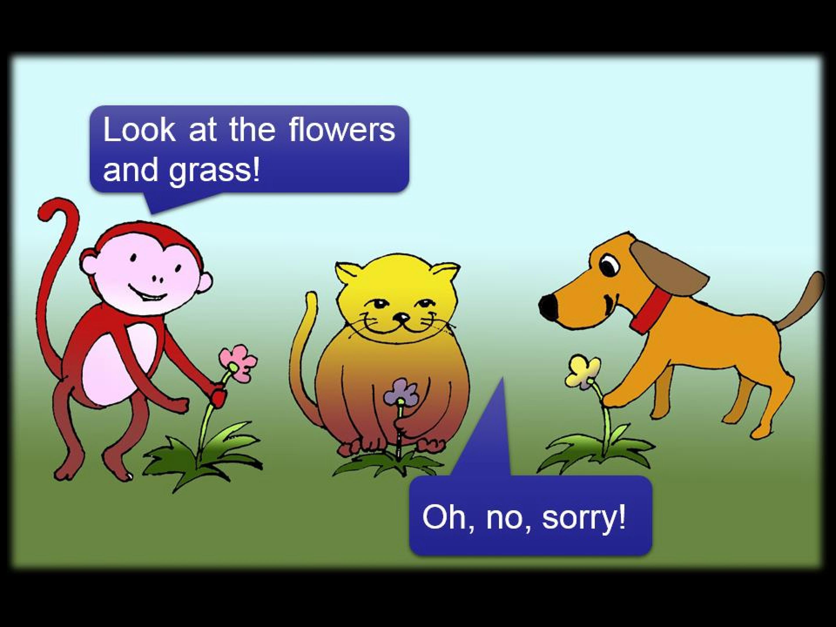 19.jpg