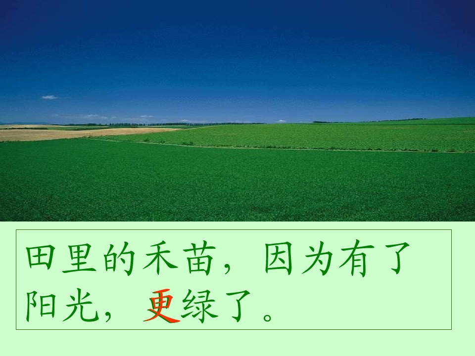 3_1562950319398.jpg(6)