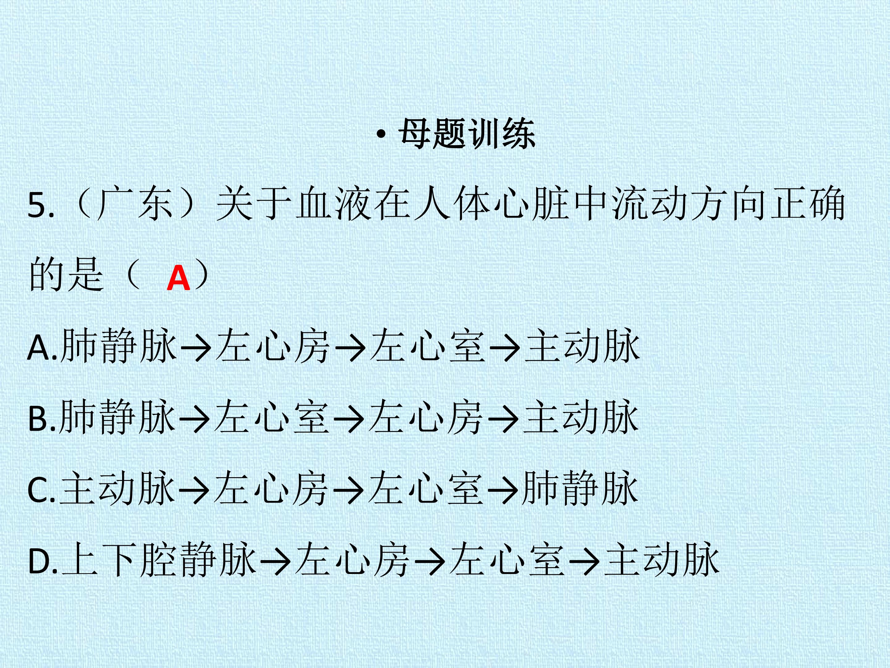 38.jpg