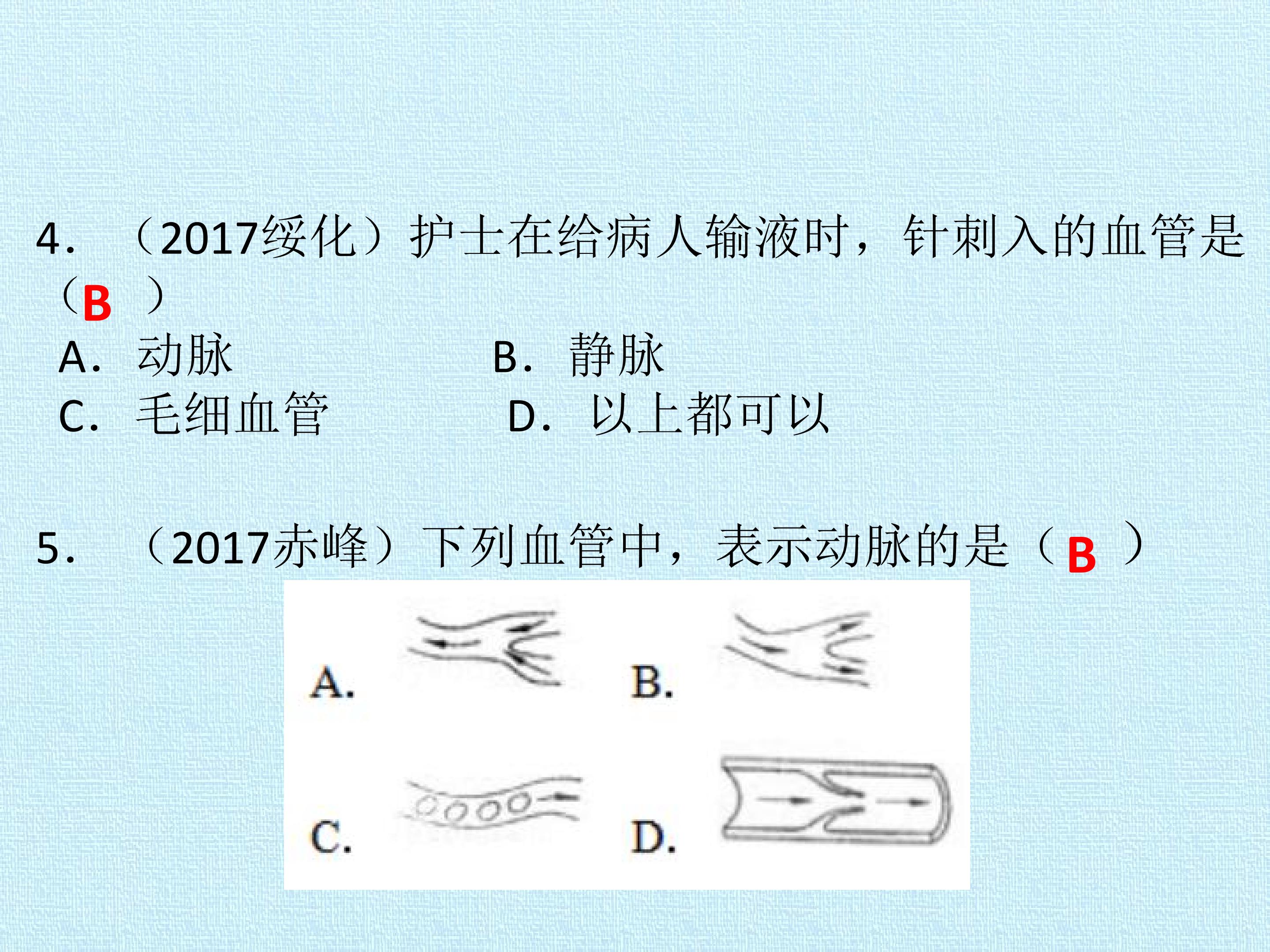 48.jpg