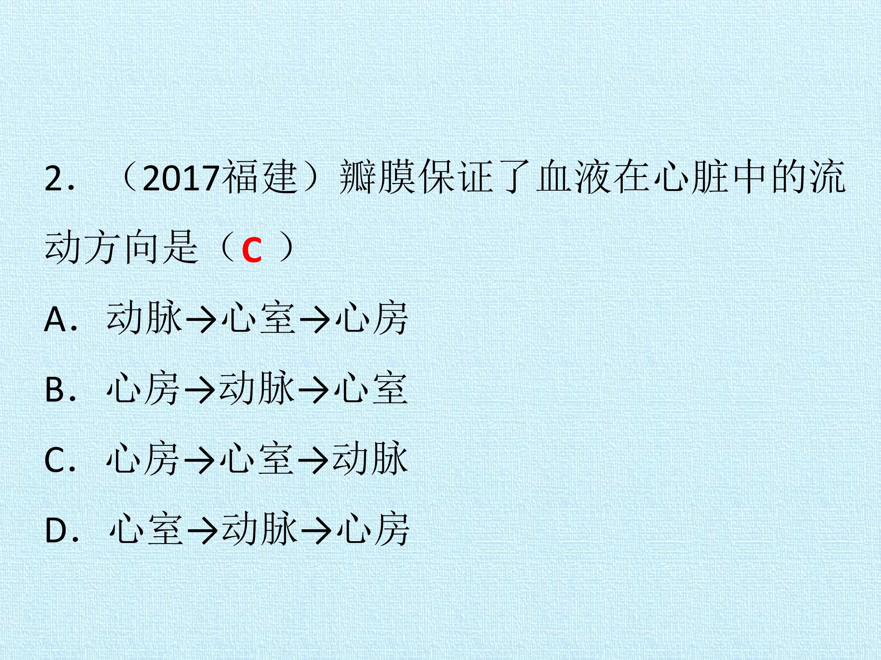 53.jpg