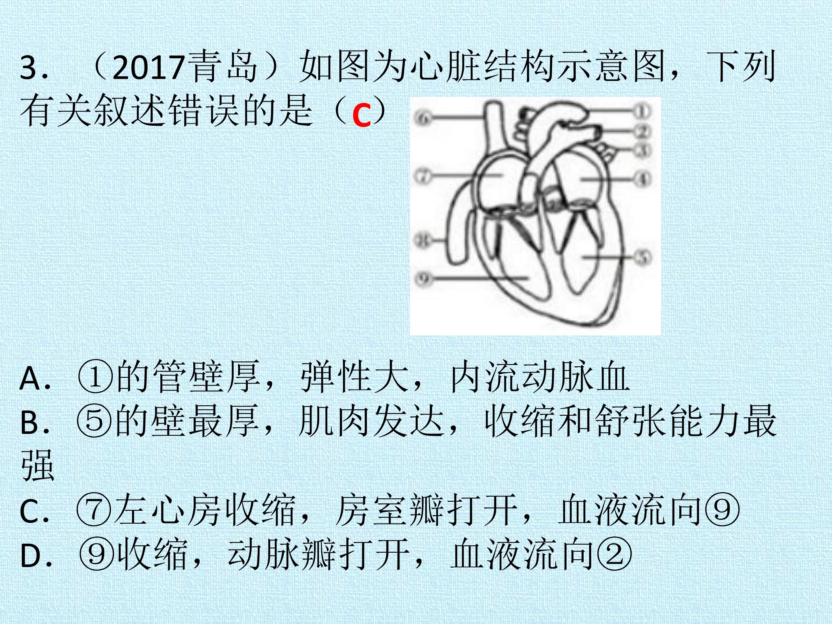 54.jpg