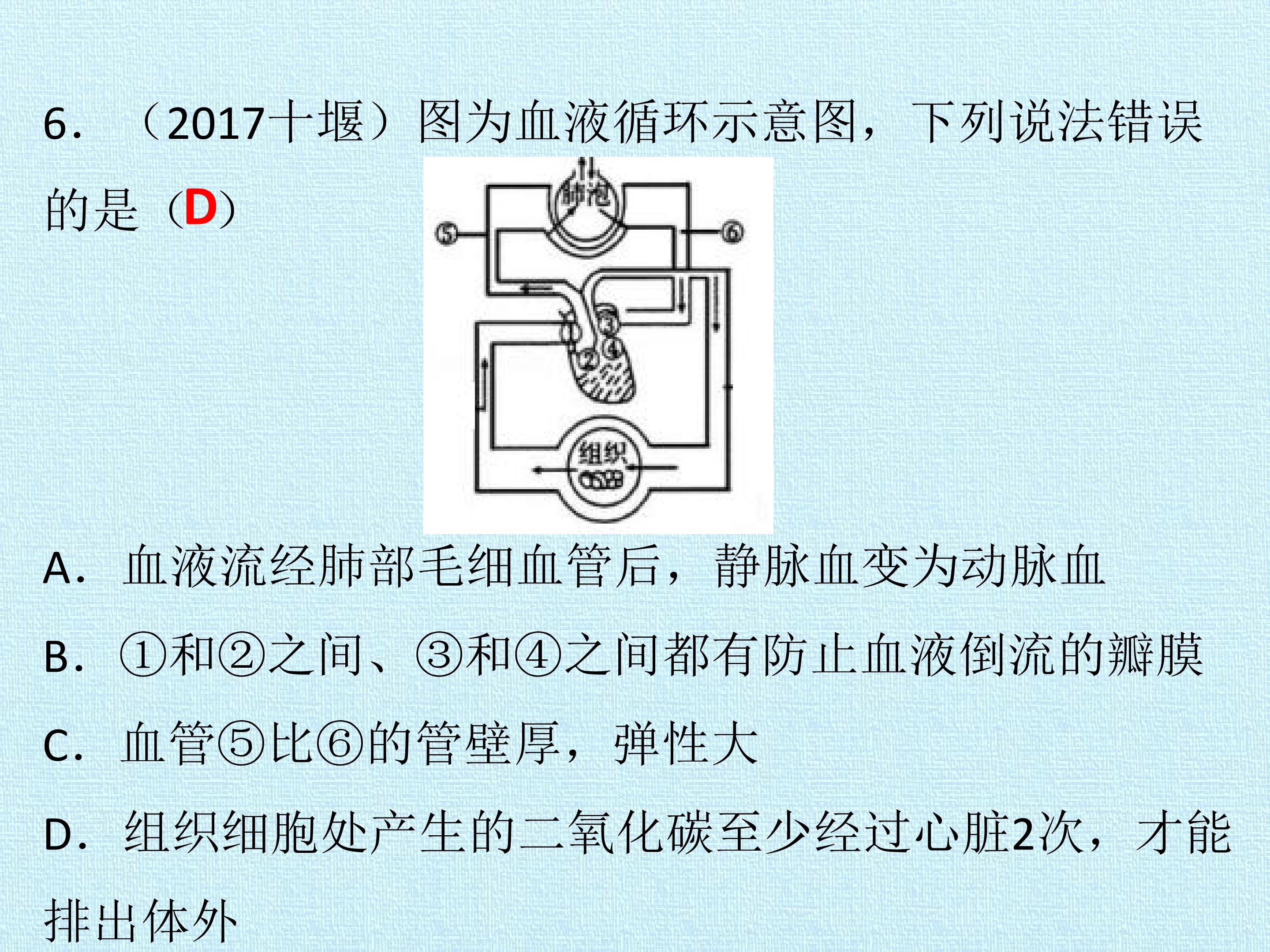 57.jpg