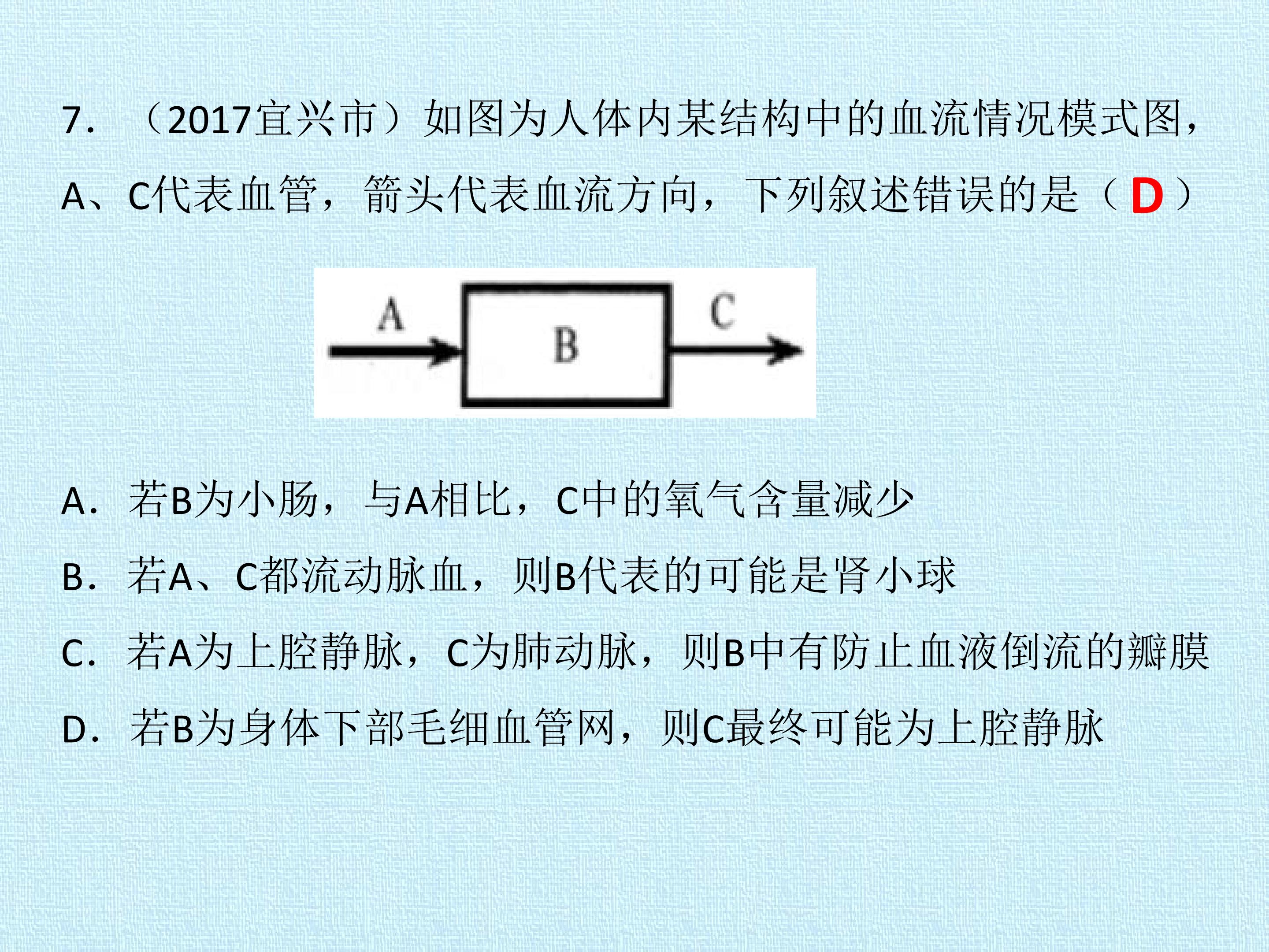 58.jpg