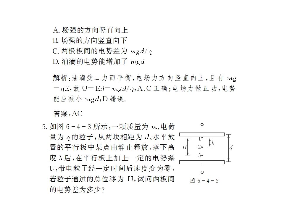 101.jpg