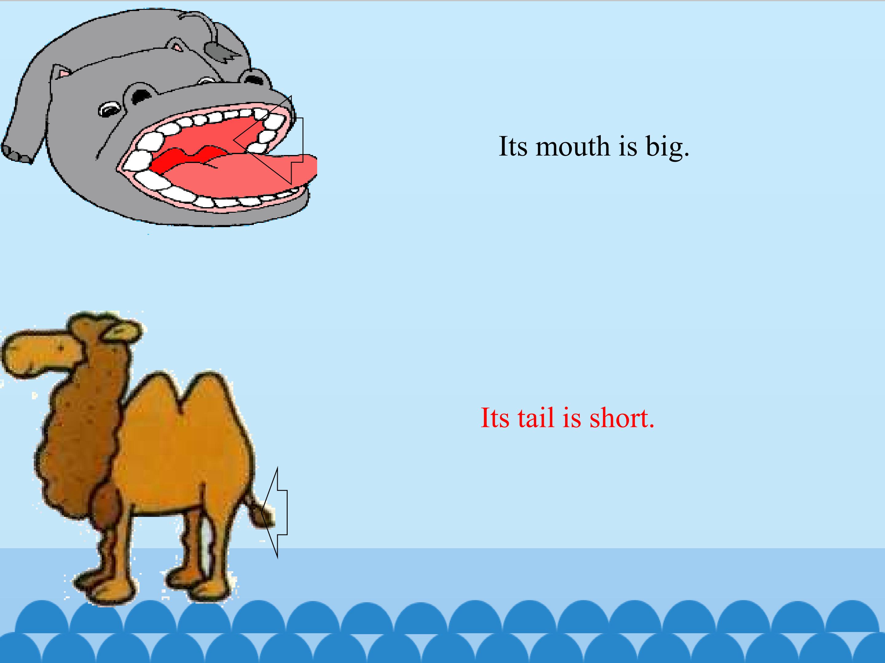 29.jpg