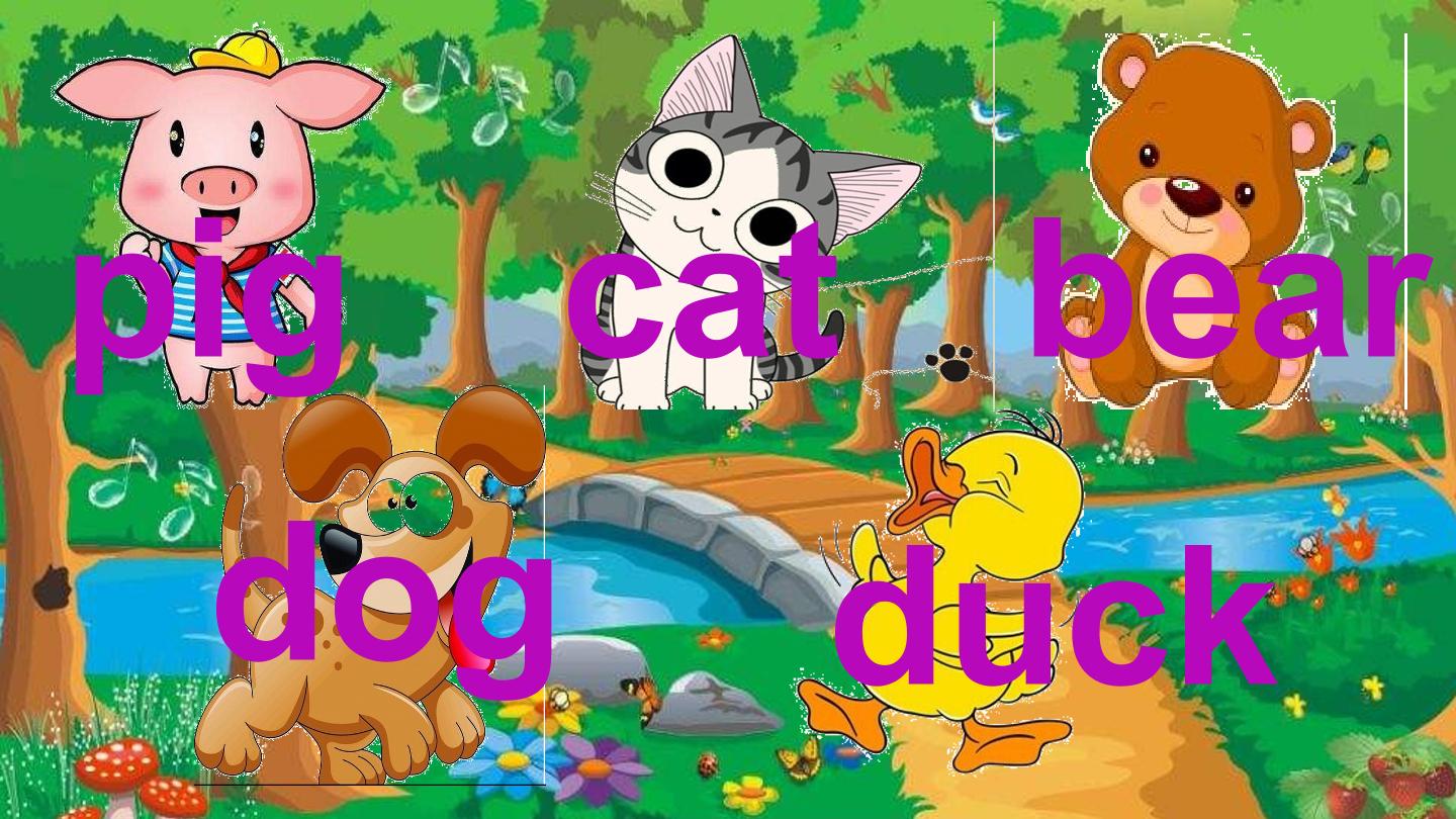 15.jpg