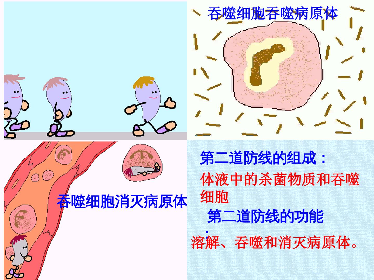 24.jpg