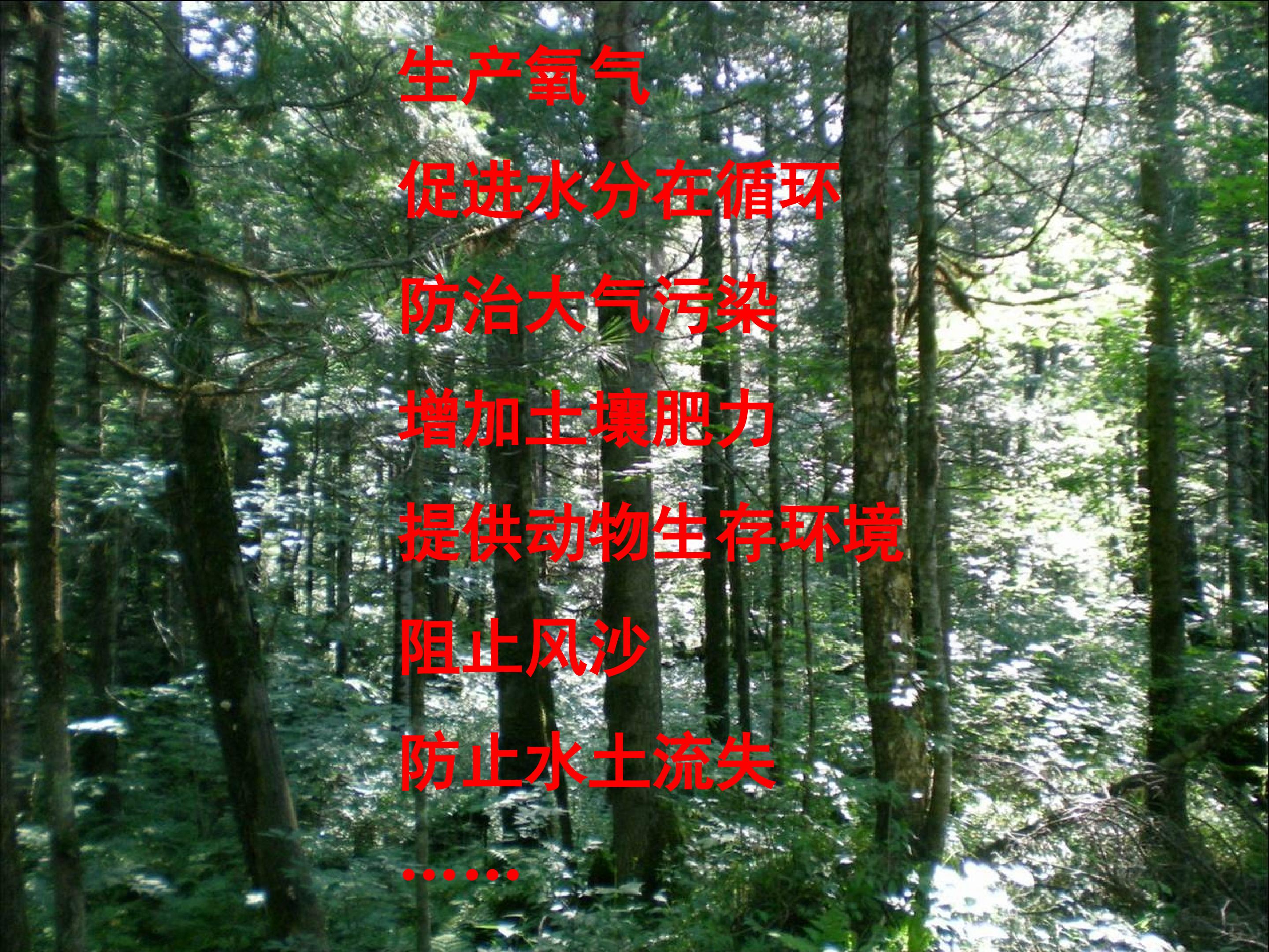 26.jpg