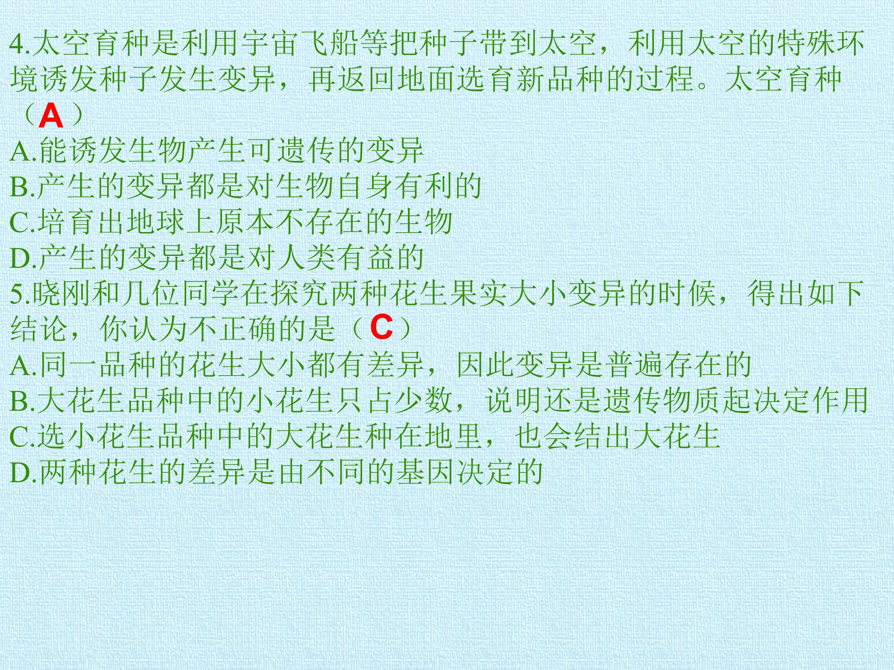 42.jpg