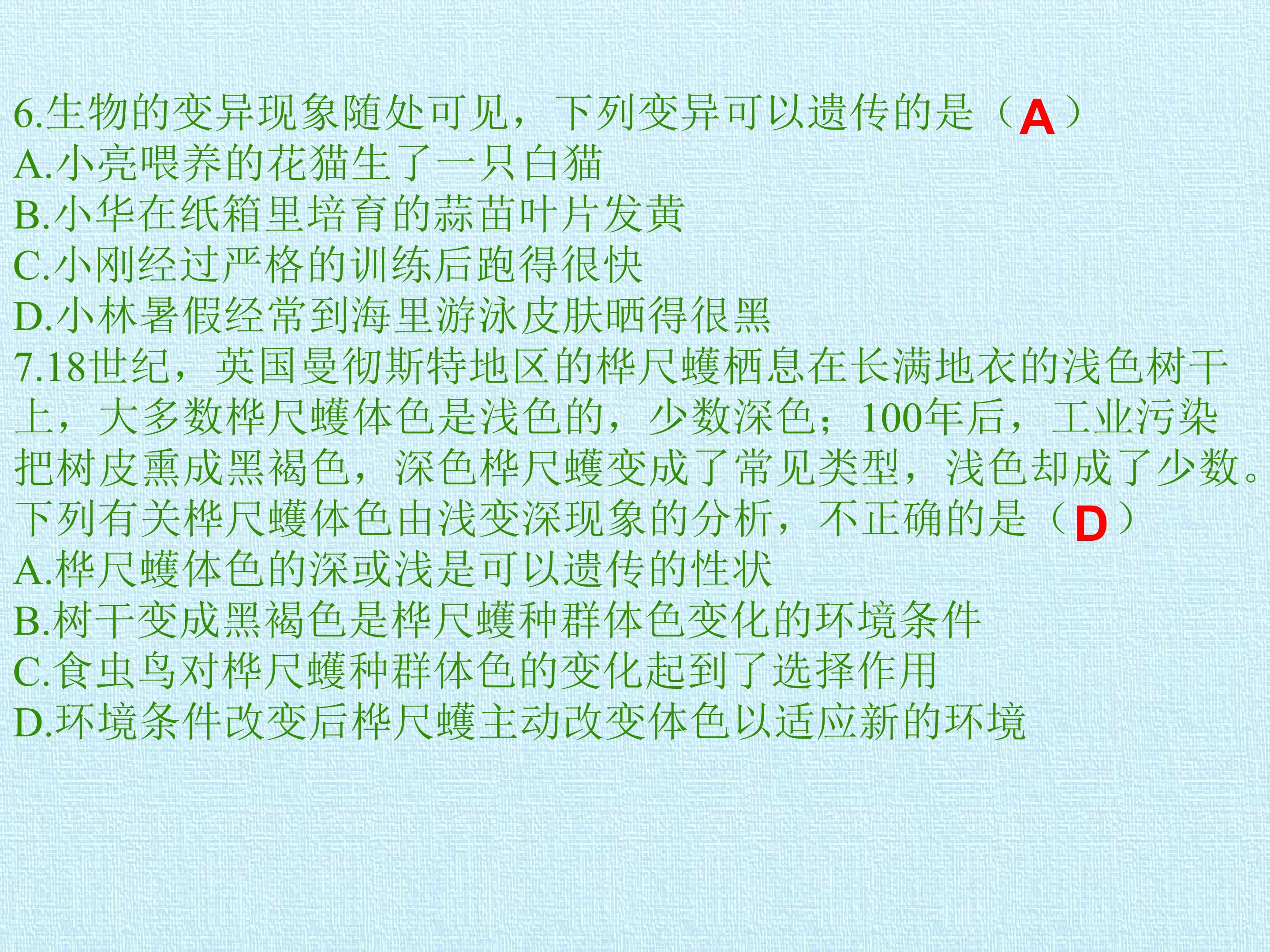 43.jpg