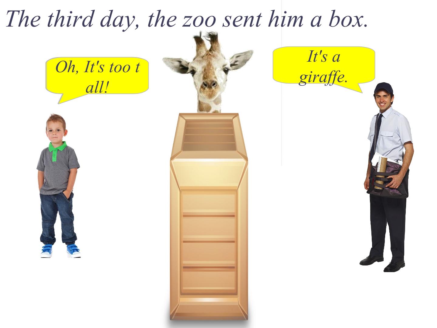 25.jpg