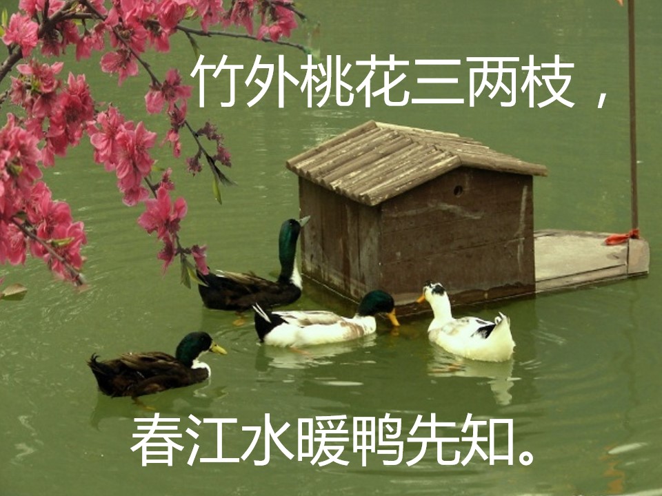 26.jpg