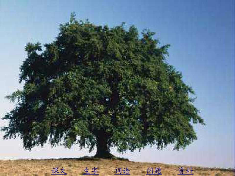 26.jpg