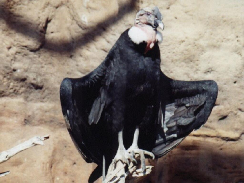 36.jpg