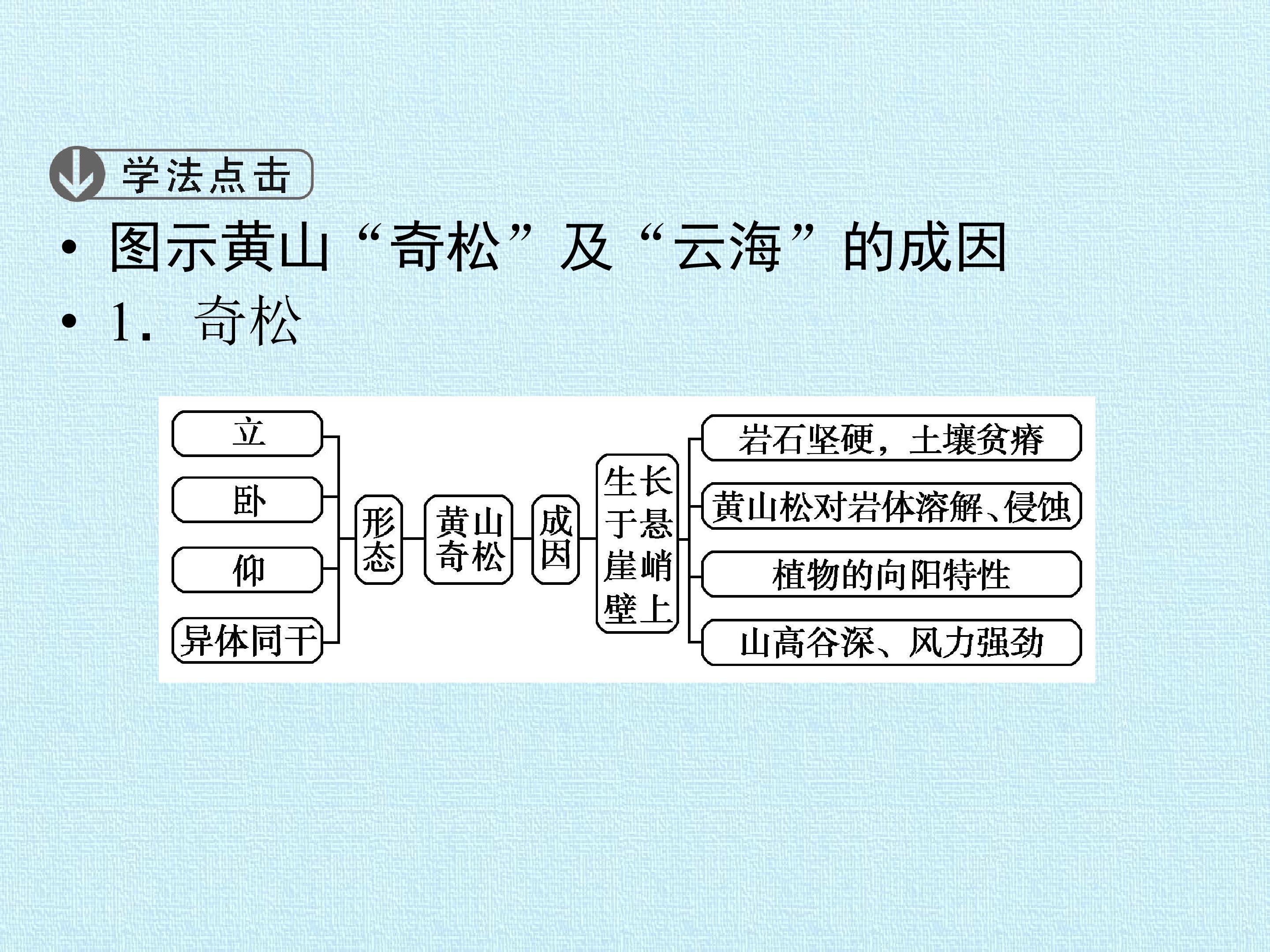 58.jpg