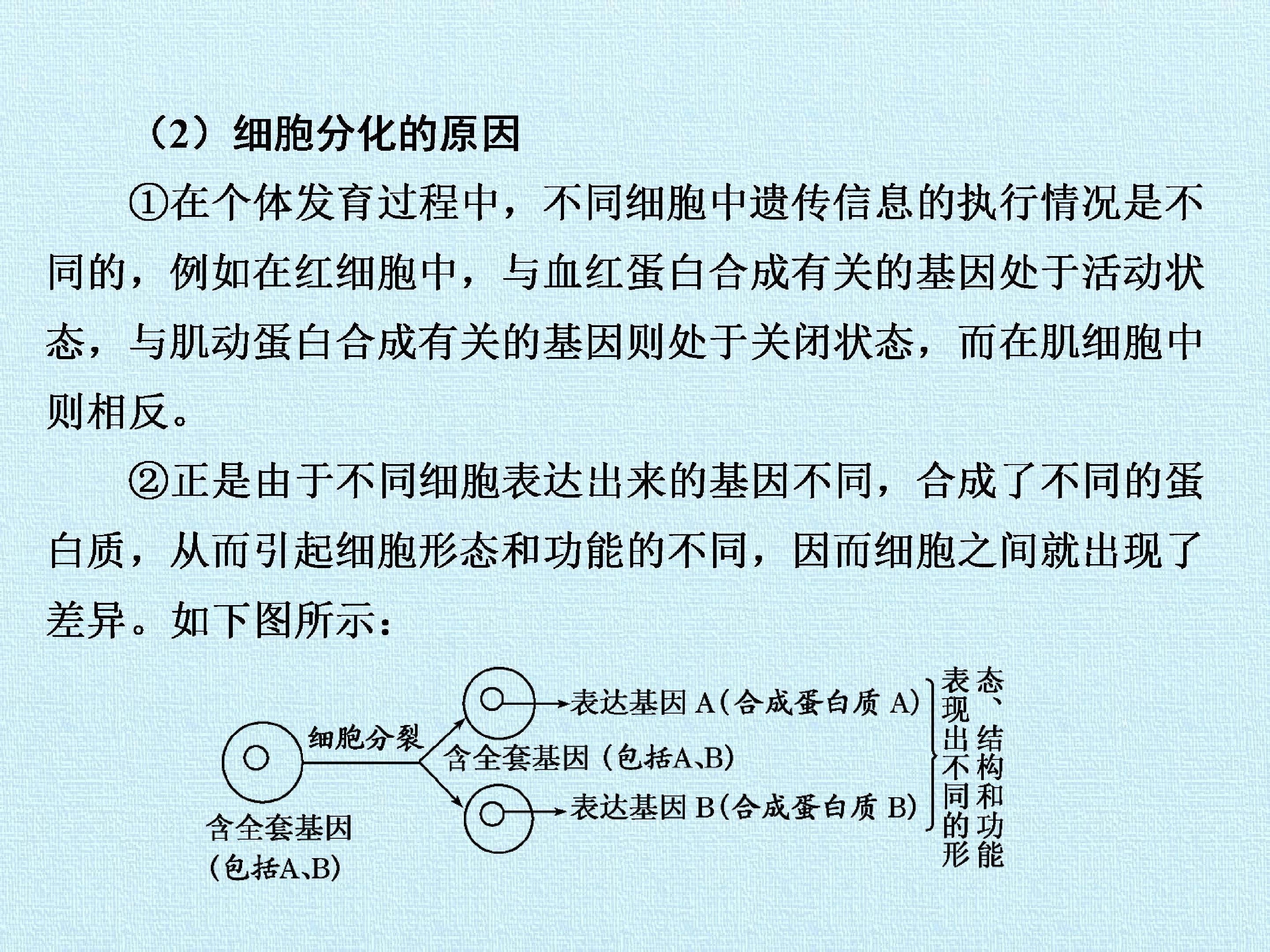 63.jpg