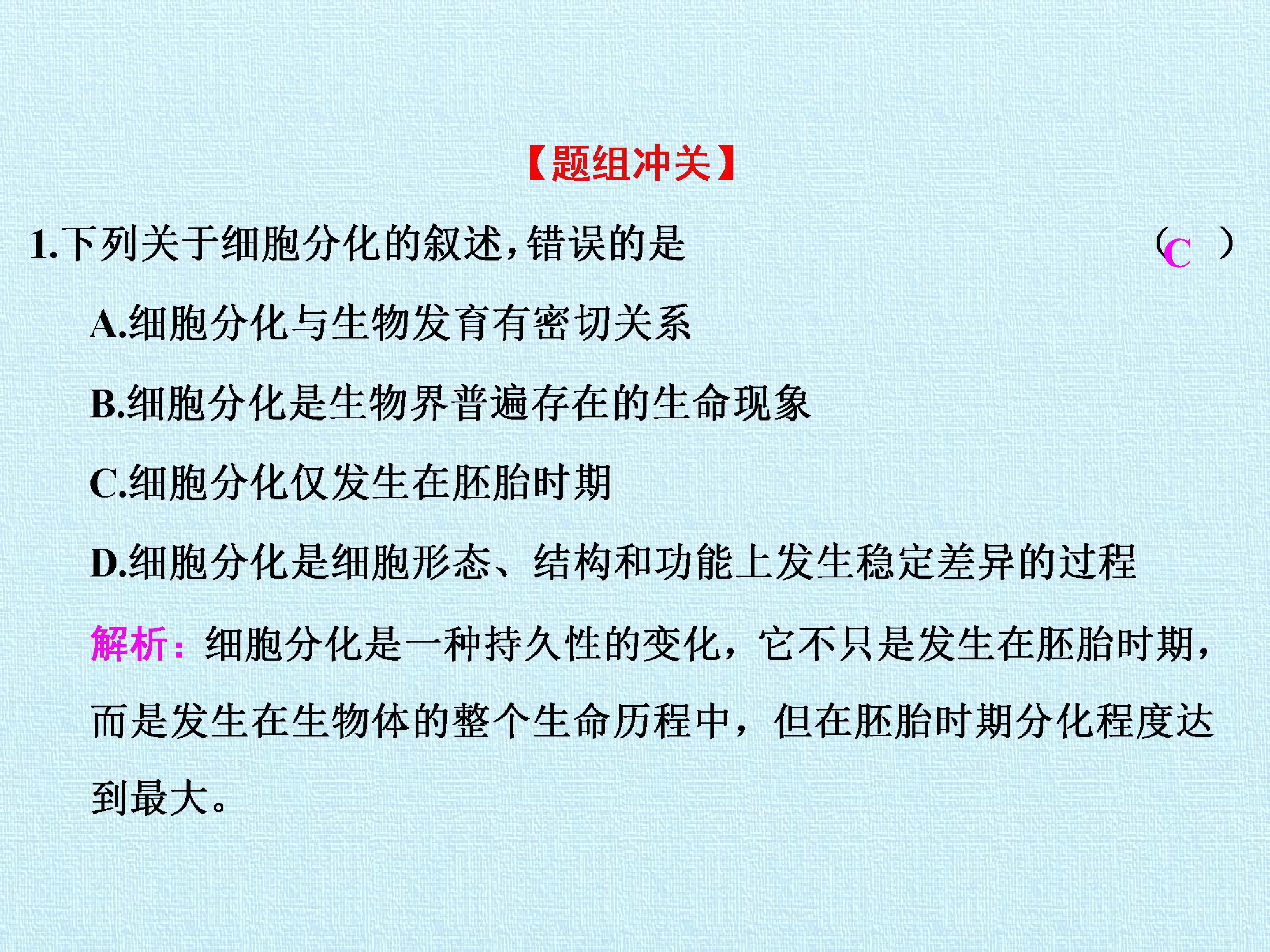67.jpg