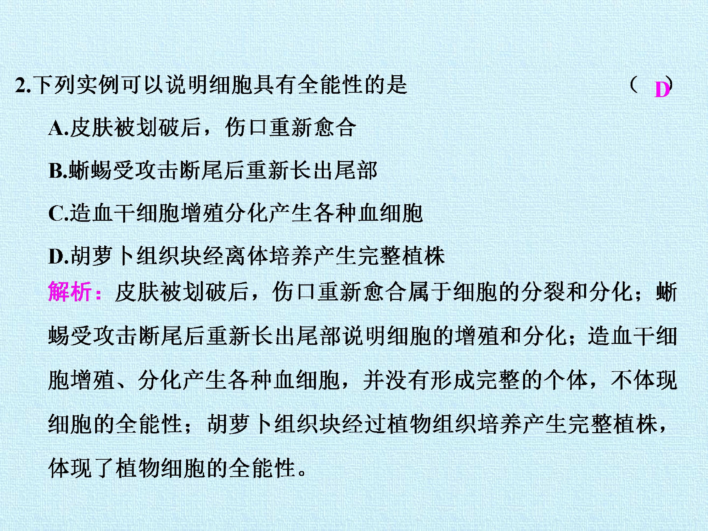 68.jpg