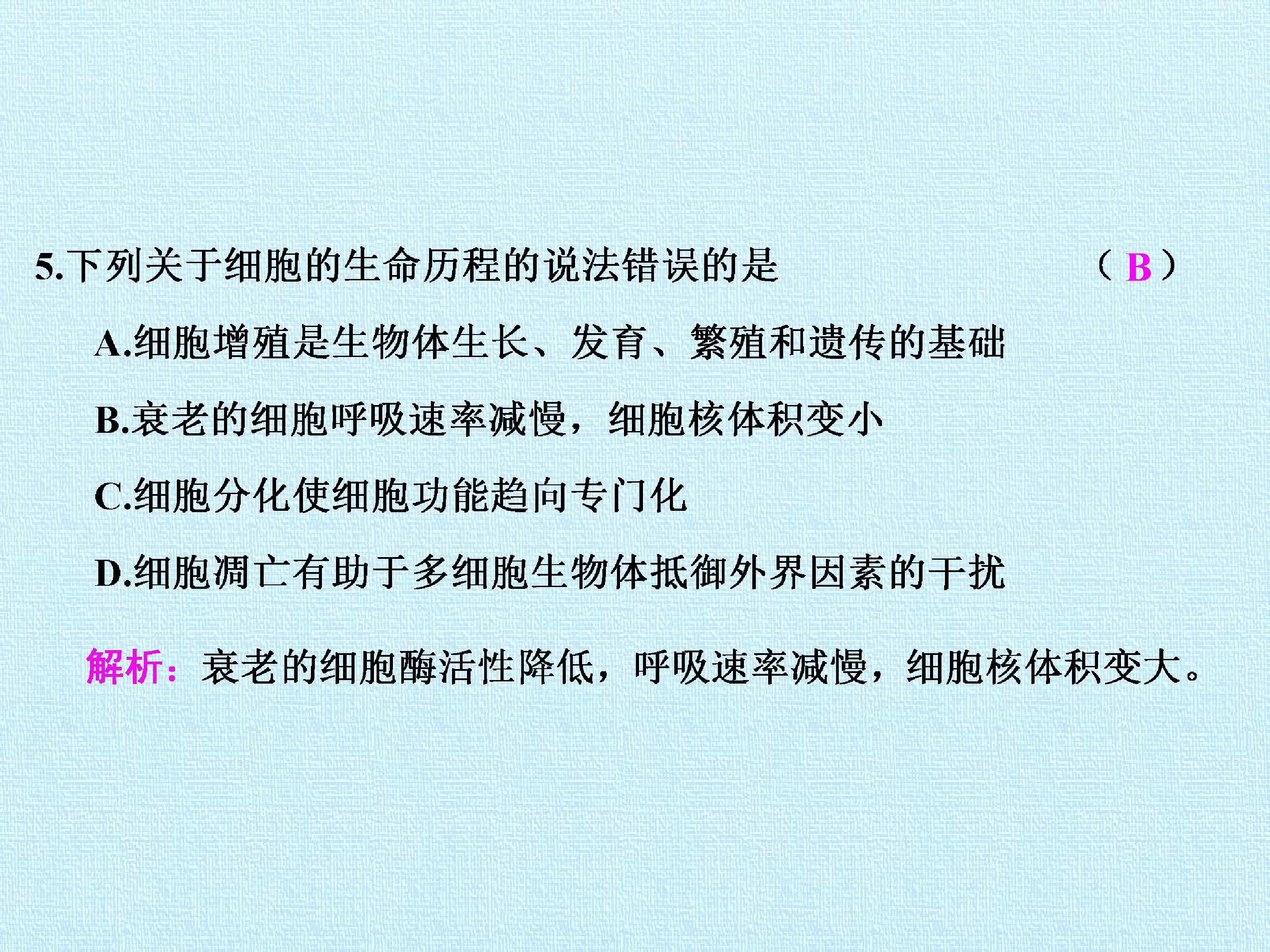 75.jpg