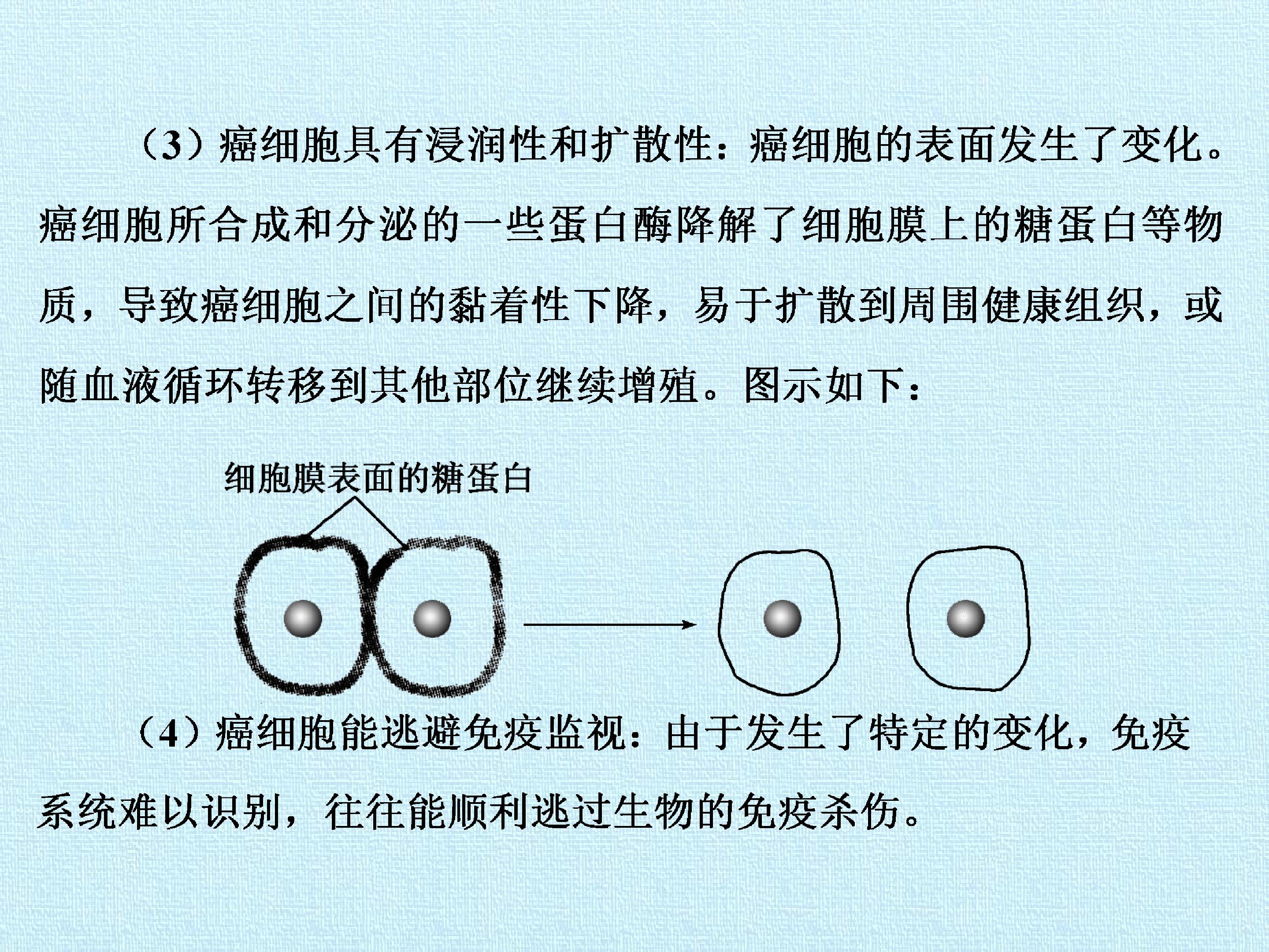 90.jpg