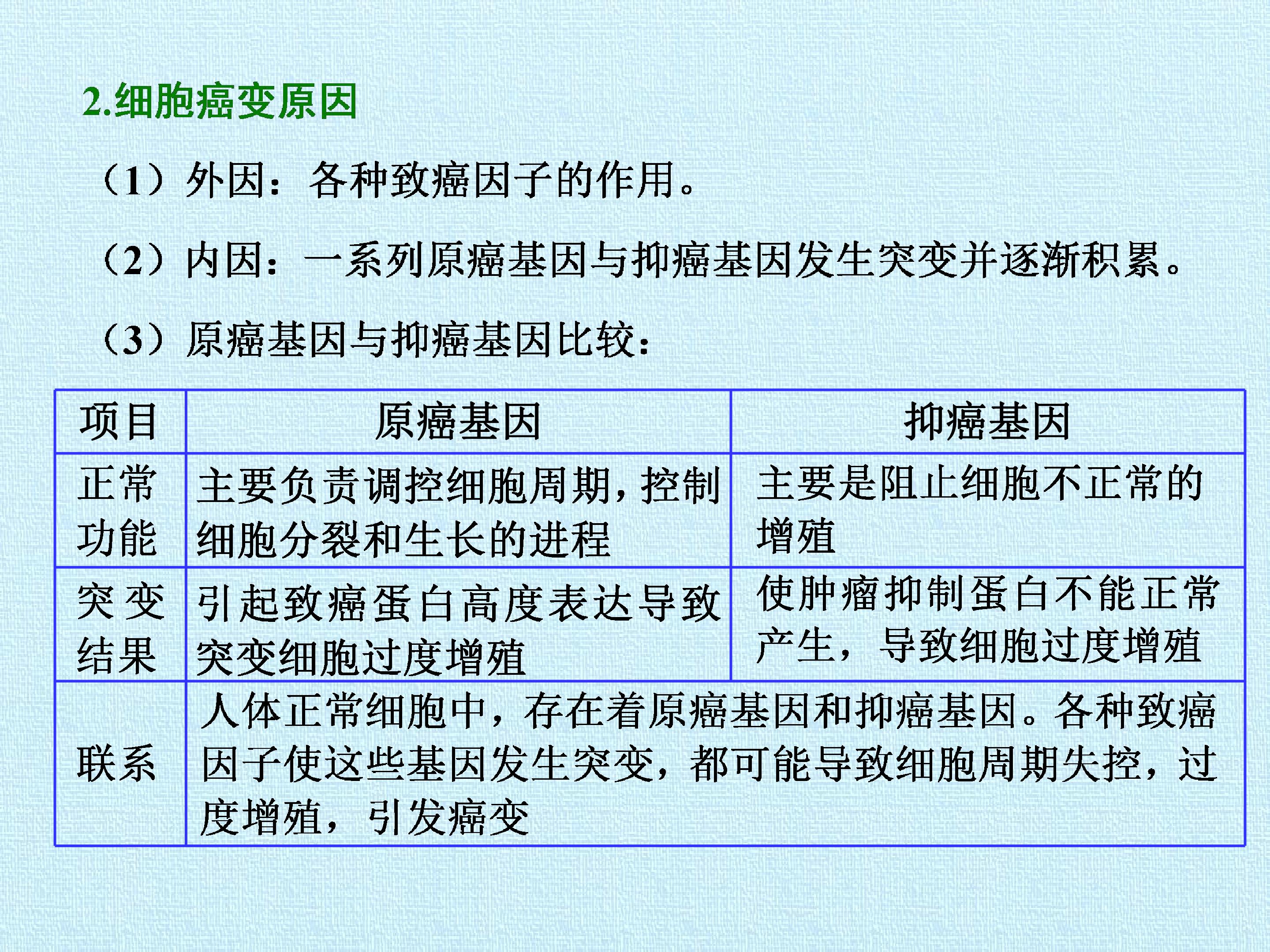 91.jpg