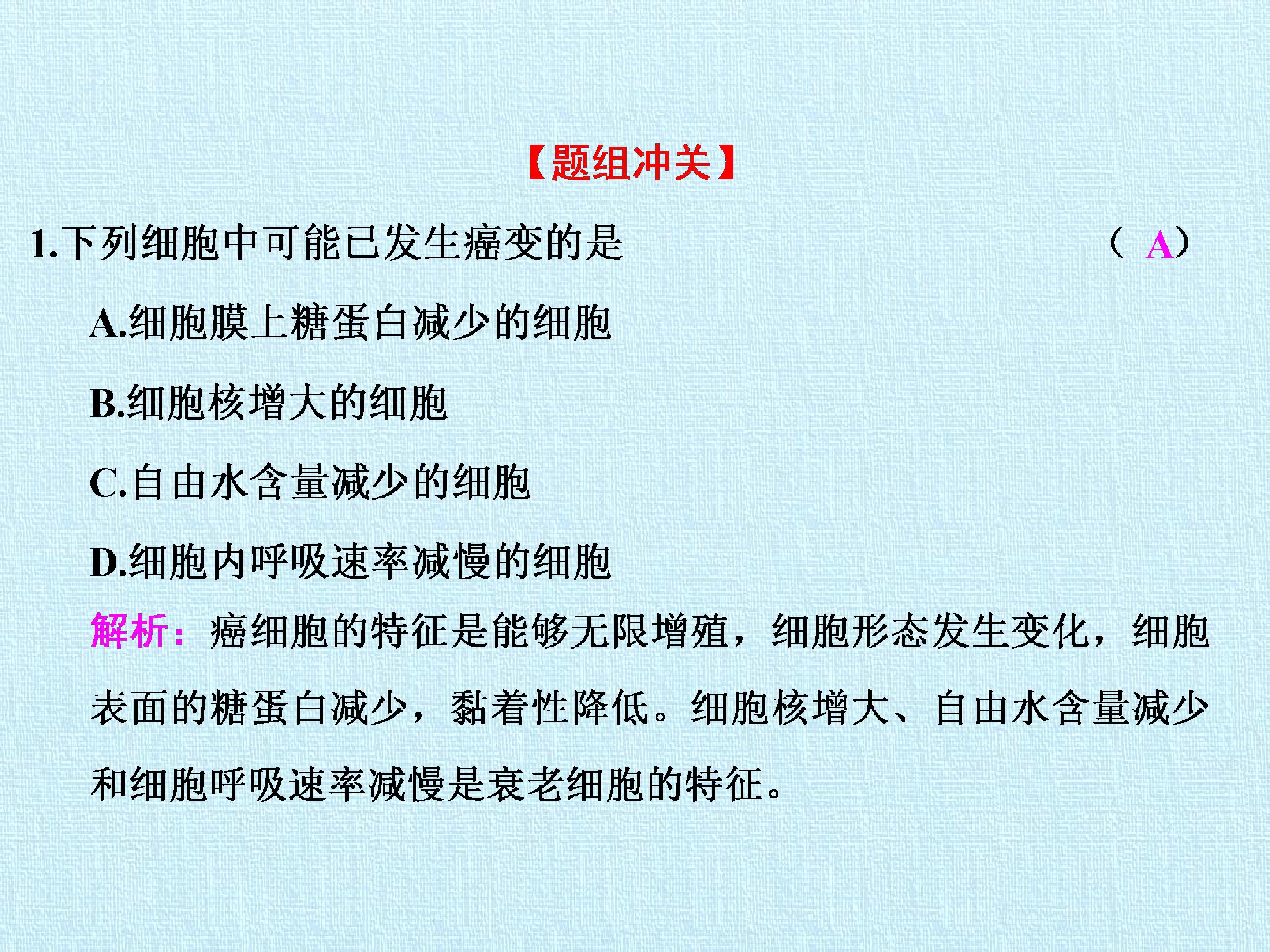 93.jpg