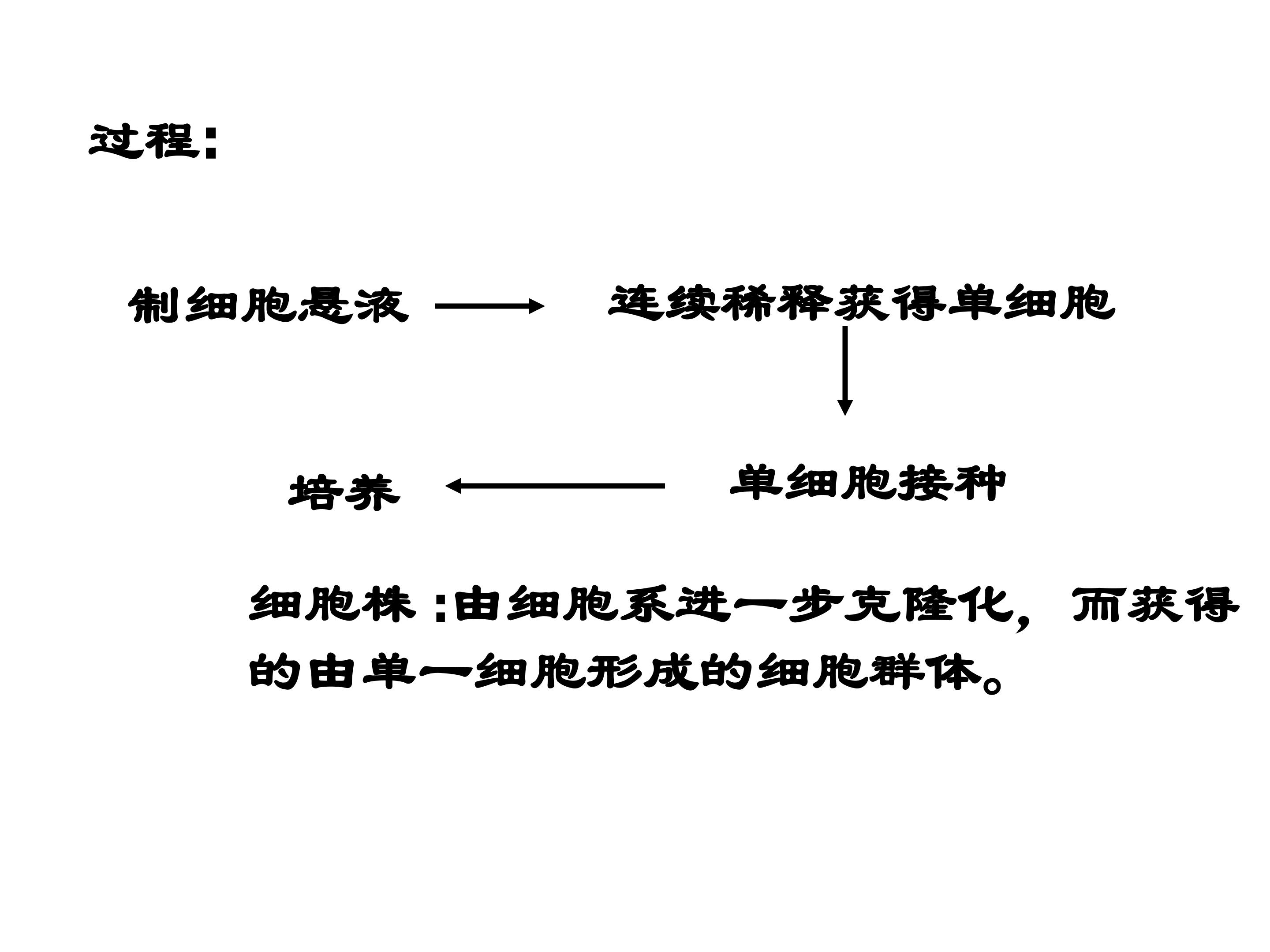 109.jpg