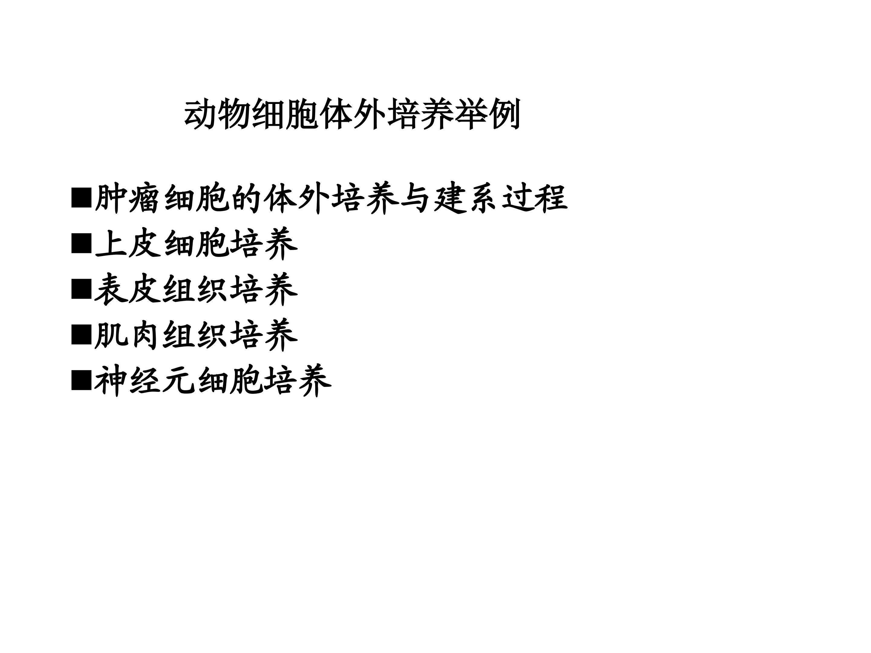 163.jpg