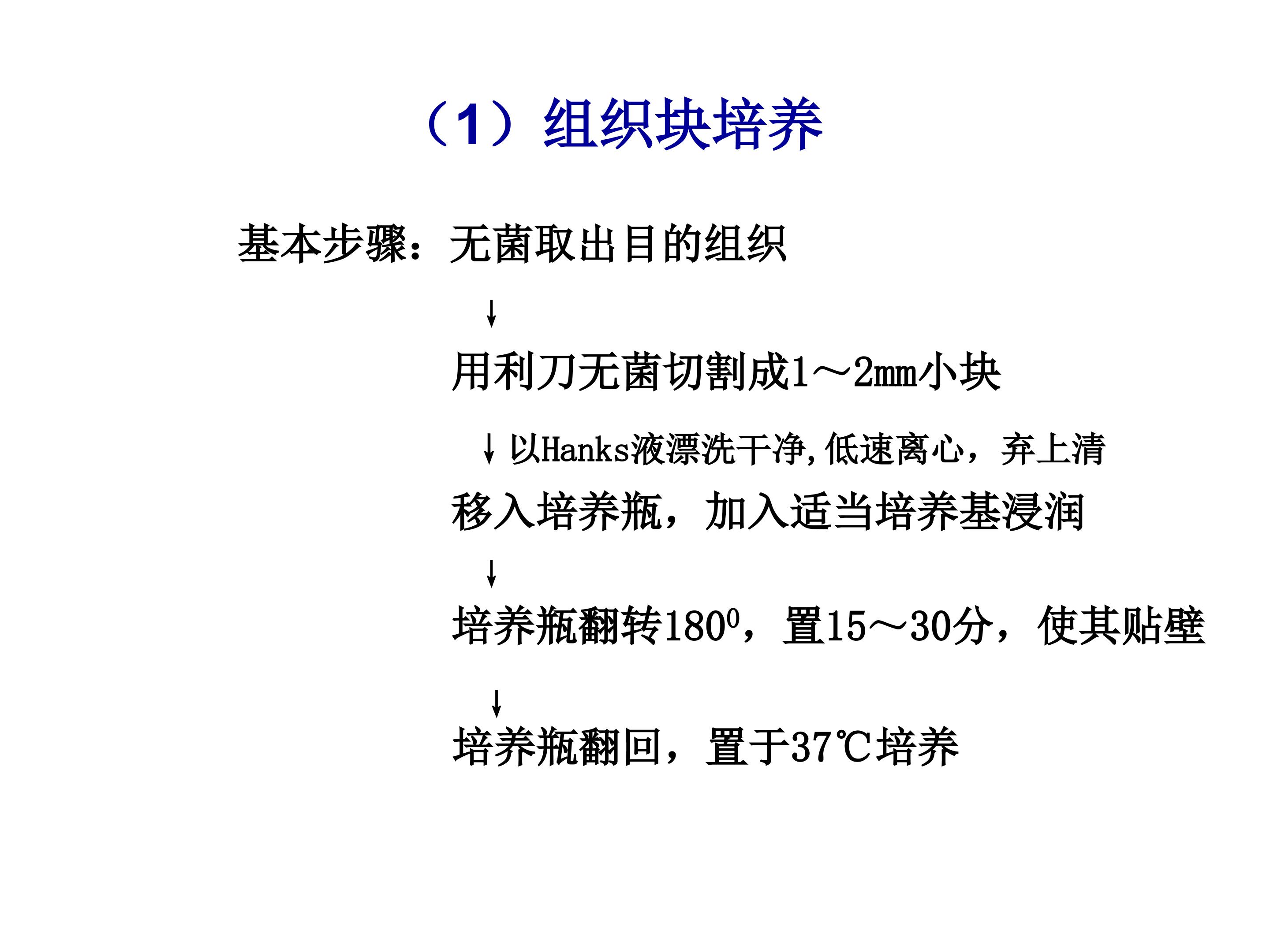 81.jpg